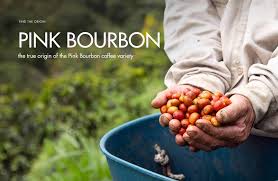 The Complete Guide to the Flavor Evolution of Honey-Processed Coffee Beans: The Best Timing from Opening the Bag to Brewing