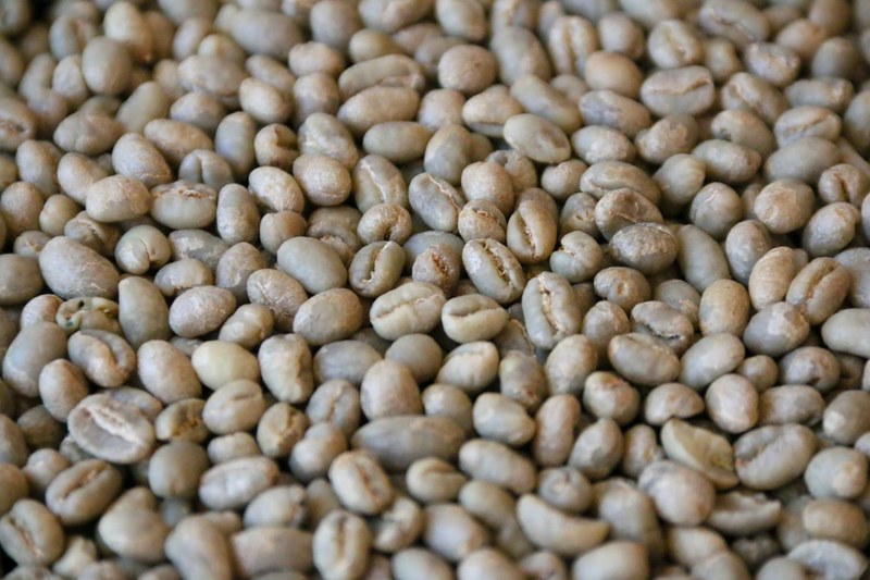 Hand Grinding Coffee Beans: A Guide to the Optimal Drinking Window — Complete Breakdown of Resting, Aging, and Brewing Timing