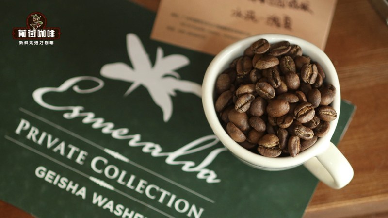 Essential Tips for Beginners Buying Pour Over Coffee Beans: Roast Date and Storage Techniques That Affect Flavor